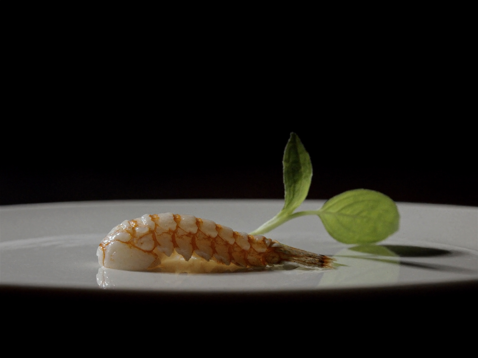 Poached Breton langoustine tail with shellfish jus and tarragon